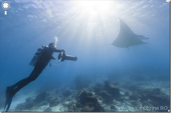 Lady Elliot Island, Great Barrier Reef [1] copy