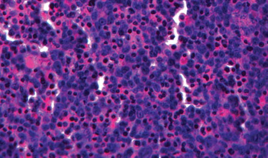 organovo_liver_tissue_model