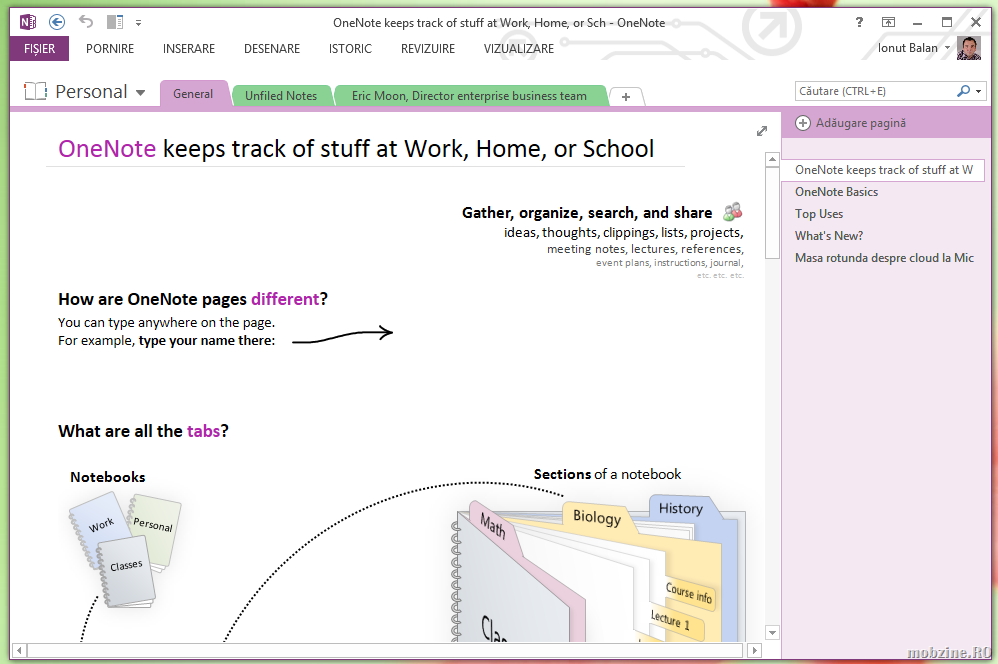 OneNote: killer app pentru Windows Phone