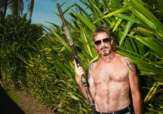 John McAfee propune un device de anonimizare online