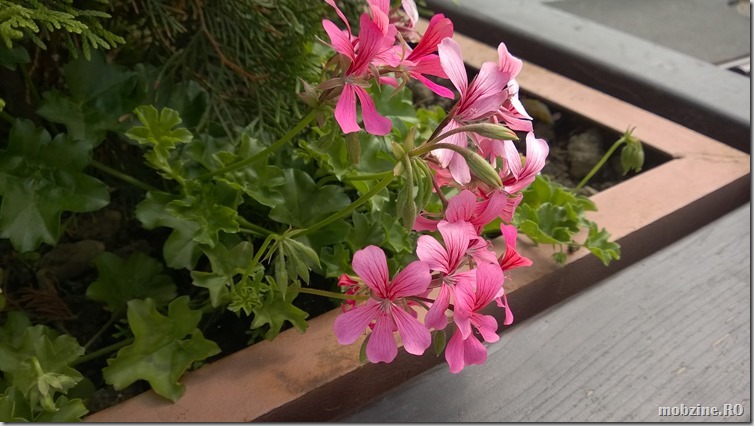 Lumia 920 - pic3