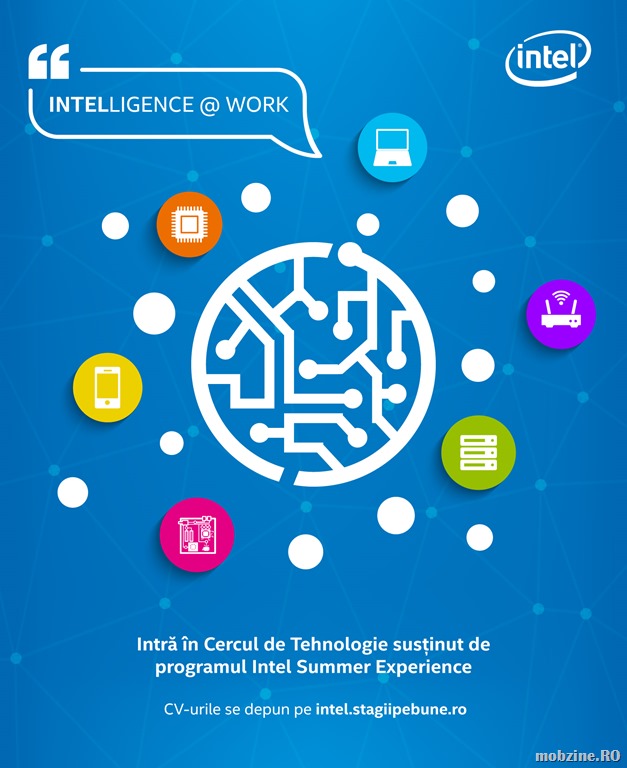 Intel are 13 pozitii de internship libere pentru studenti