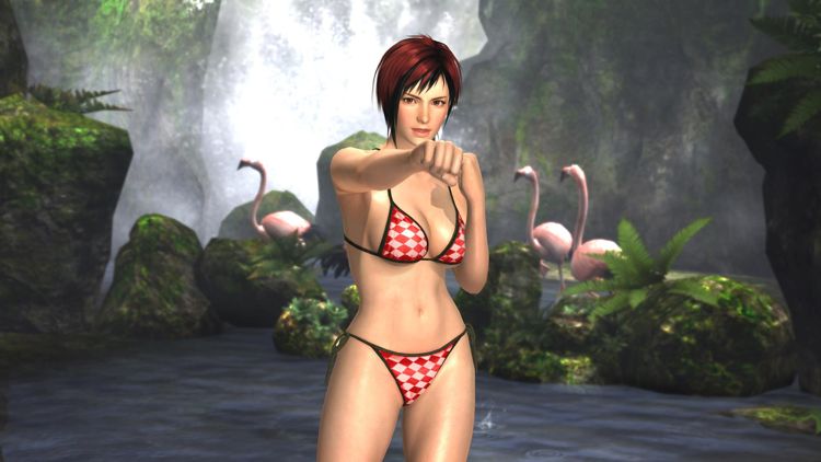 Dead or Alive 5 pentru PC are lipsuri