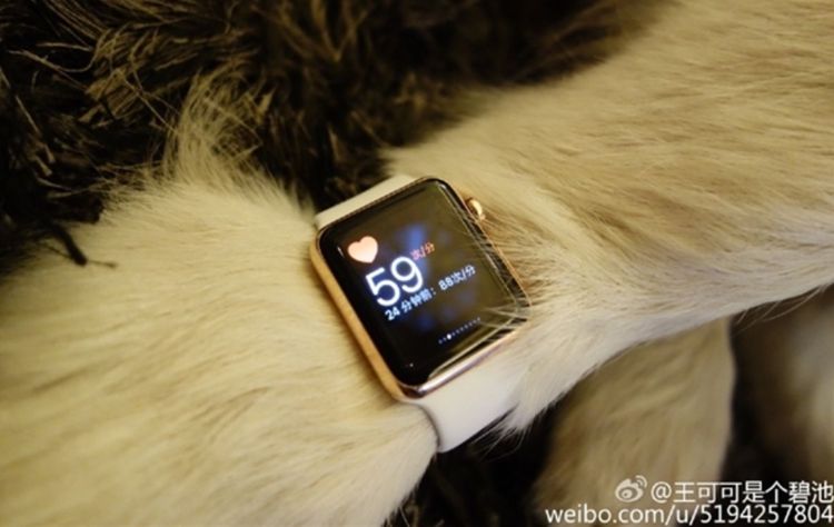 Cine poarta Apple Watch de aur?