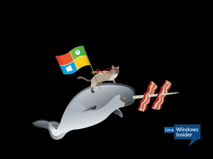 Windows_Insider_Ninjacat_Narwhal-1024x768