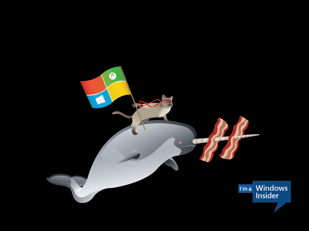 Download colectia de wallpaper-e Ninja Cat pentru Windows 10