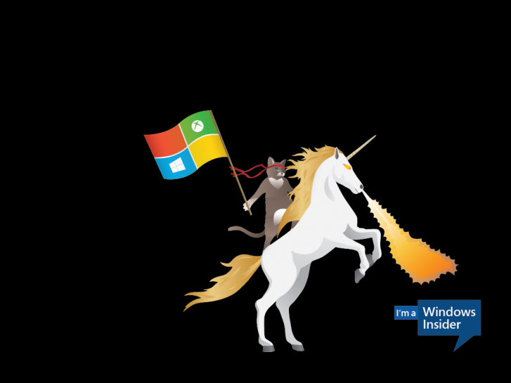 Windows_Insider_Ninjacat_Unicorn-1024x768