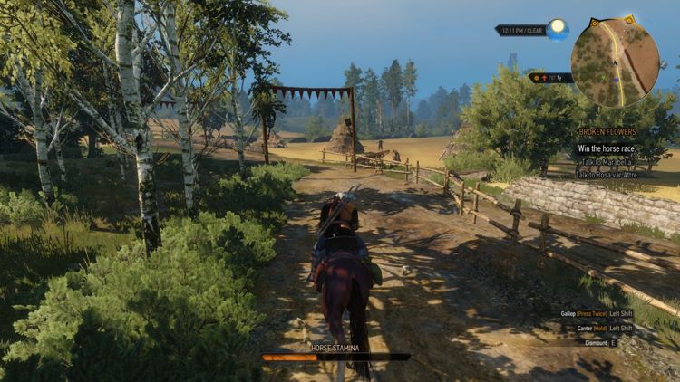 Witcher3ReviewIMG31