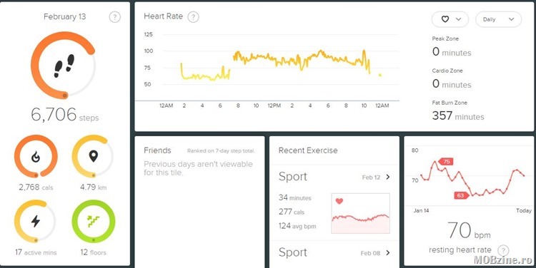 fitbit_graph