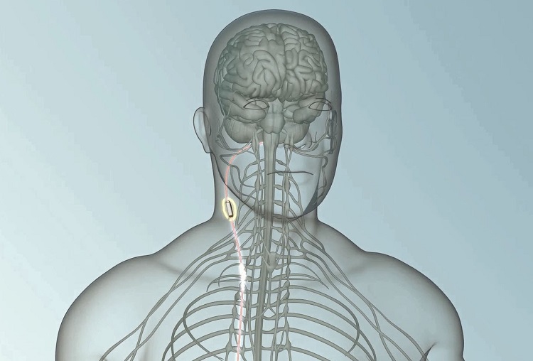 GlaxoSmithKline si Google colaboreaza in microelectronica medicala