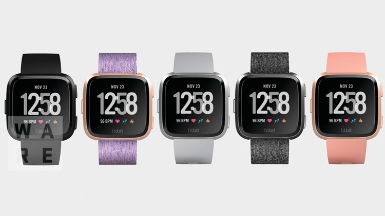 fitbit-leak-watch