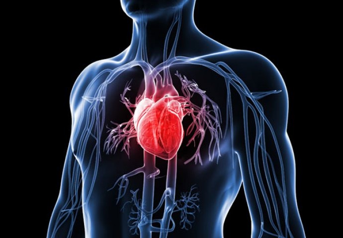 Apple a pornit un studiu pentru bolile de inima folosind datele preluate de la utilizatorii Apple Watch