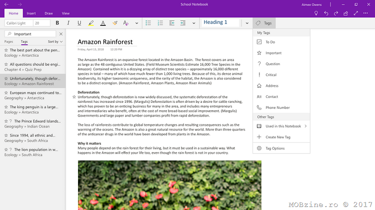 OneNote for Windows 10