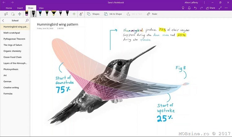 Microsoft inlocuieste OneNote de desktop cu versiunea OneNote for Windows 10 in suita Office 2019 si Office 365