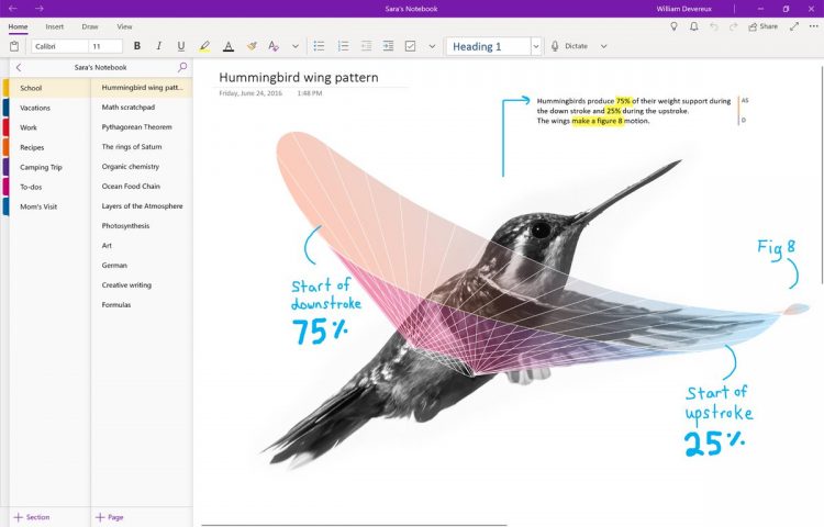 OneNote