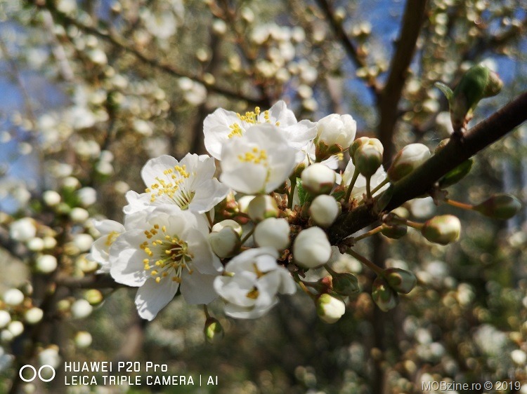 HuaweiP20Pro_1