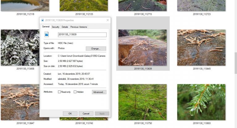 Tutorial: cum vezi pozele in format .HEIC de pe Galaxy S10 5G in Windows 10