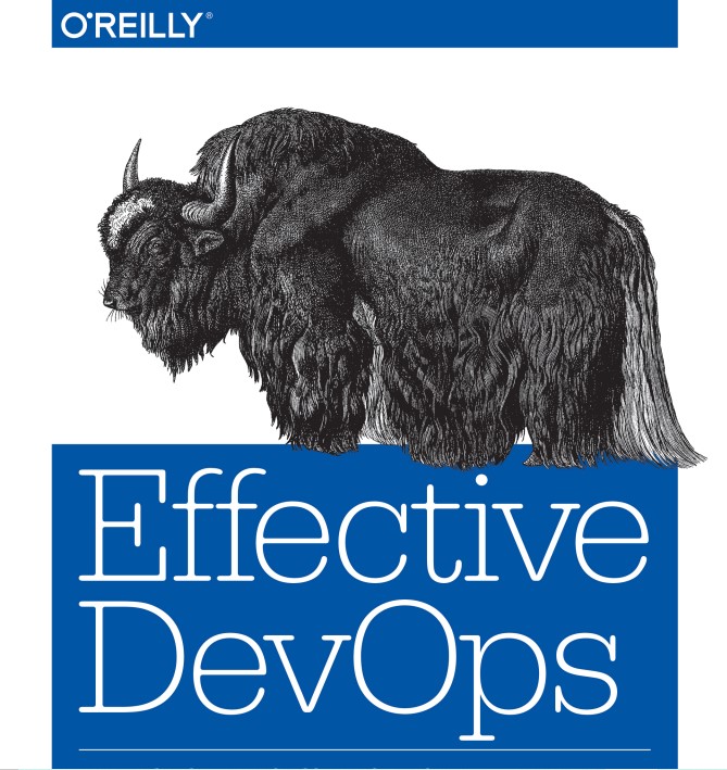 Effective DevOps - Building a DevOps Culture at Scale este o carte în care puteți descoperi cum să construiți o cultură DevOps sustenabilă în interiorul organizației.