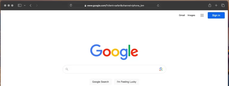 V-ați gândit vreodată câți bani pompează Google către Apple ca sa fie motorul de căutare implicit pe Safari?