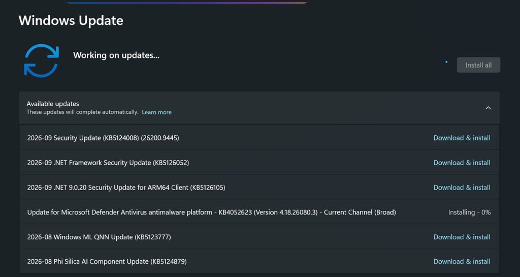 Paradigma legata de modul în care AI-ul e folosit în software s-a schimbat complet și nu doar în ceea ce înseamnă crearea de aplicații, dar mai cu seamă în detectarea și exploatarea vulnerabilităților. 972 de probleme reparate de Microsoft în septembrie e un indicator că lucrurile o vor lua razna în curând.