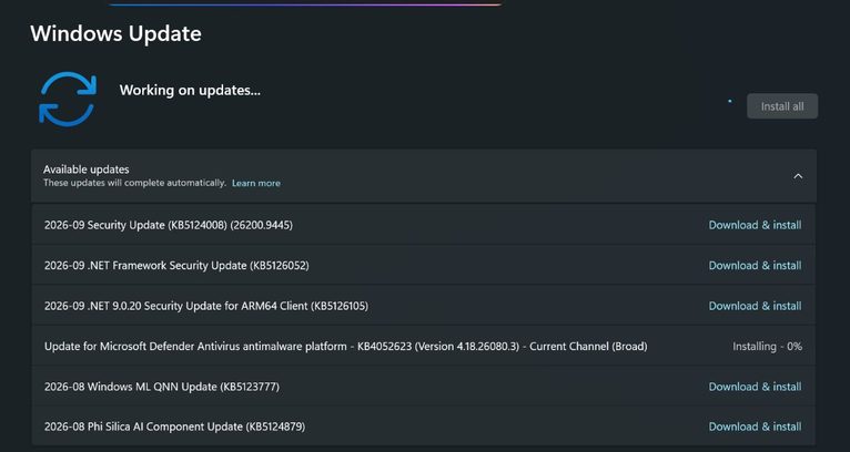 Paradigma legata de modul în care AI-ul e folosit în software s-a schimbat complet și nu doar în ceea ce înseamnă crearea de aplicații, dar mai cu seamă în detectarea și exploatarea vulnerabilităților. 972 de probleme reparate de Microsoft în septembrie e un indicator că lucrurile o vor lua razna în curând.